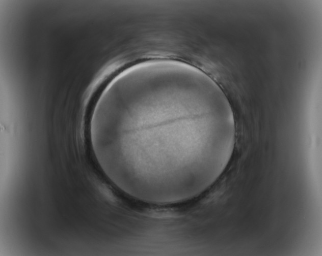 X0000086220296200704261842