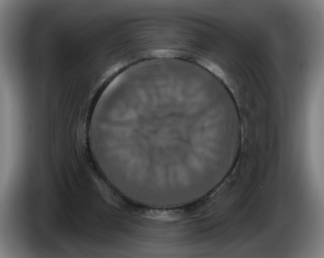 X0000086220297200704261842