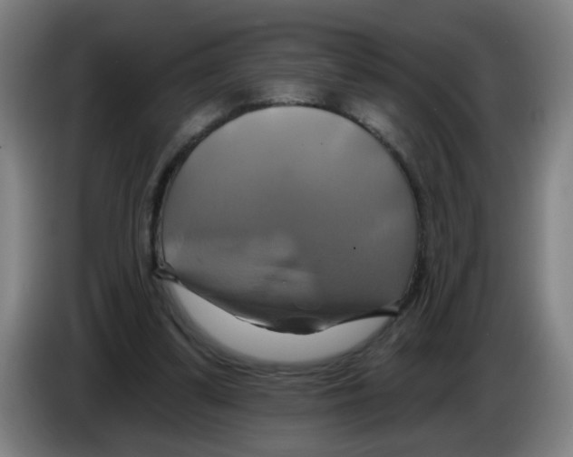 X0000086220299200704261842