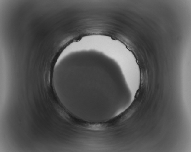 X0000086220301200704261842