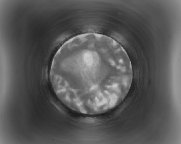 X0000086220302200704261842