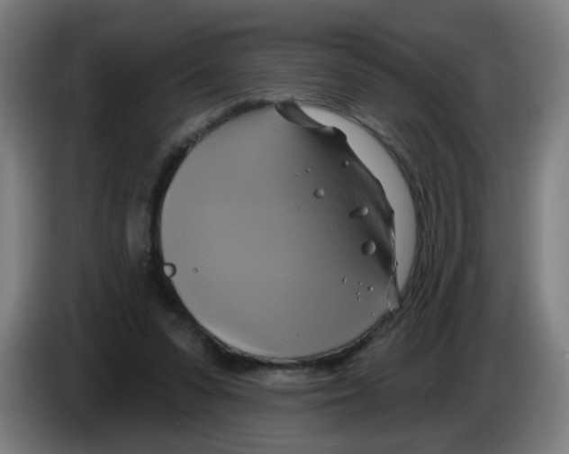 X0000086220303200704261842