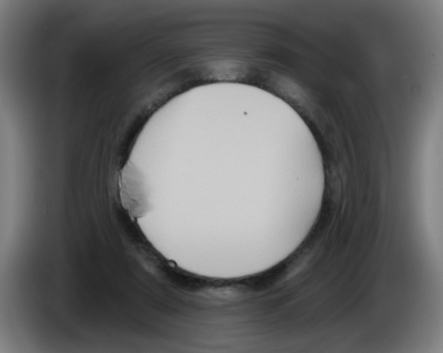 X0000086220307200704261841