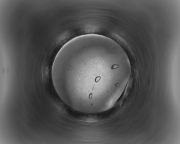 X0000086220308200704261841