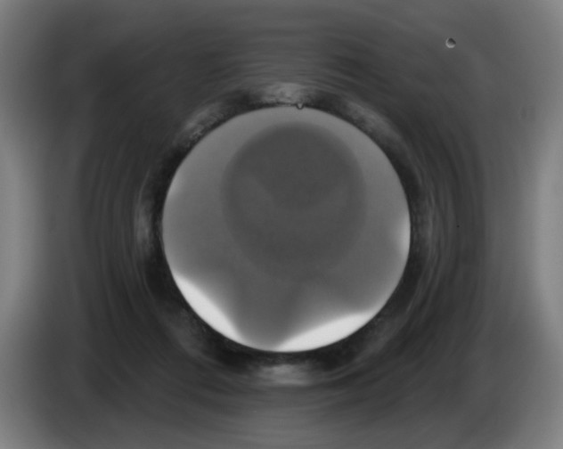 X0000086220312200704261841