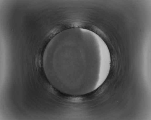 X0000086220313200704261841