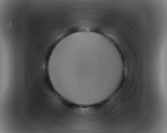 X0000086220314200704261841