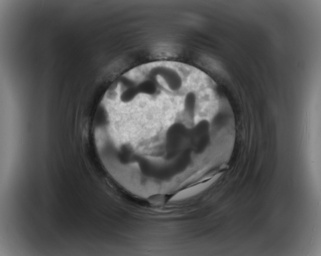 X0000086220315200704261841