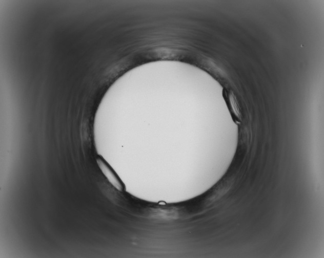 X0000086220317200704261841