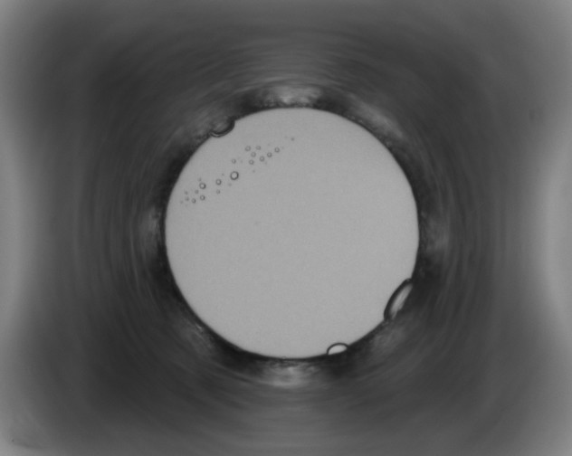 X0000086220321200704261841