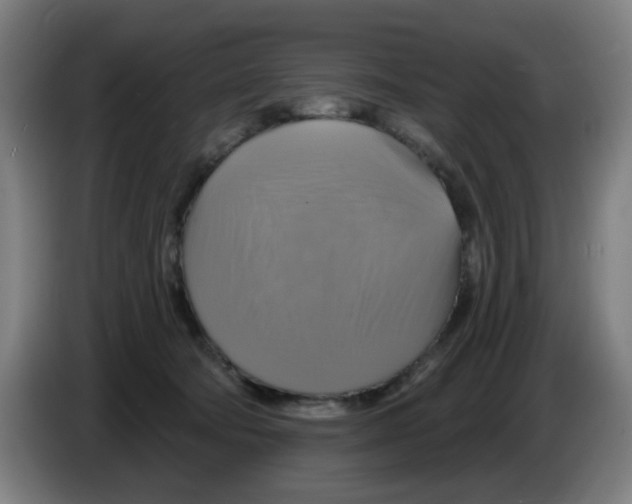 X0000086220322200704261841