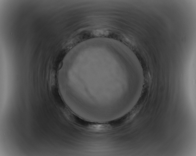 X0000086220323200704261841