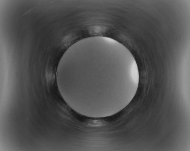 X0000086220324200704261841