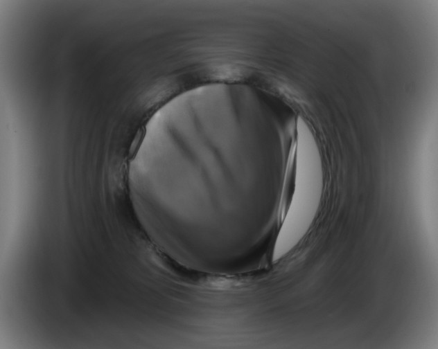 X0000086220325200704261841