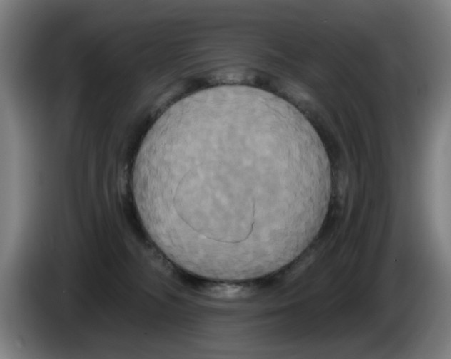 X0000086220326200704261841