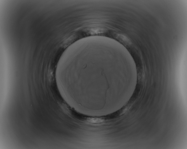 X0000086220327200704261841