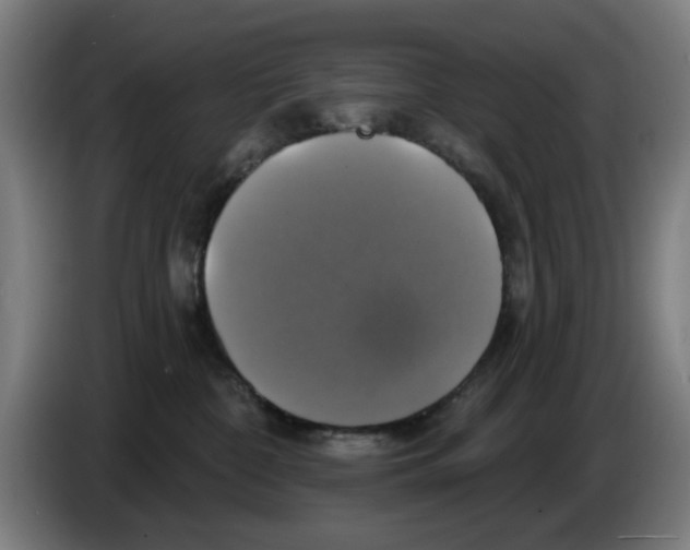 X0000086220332200704261841