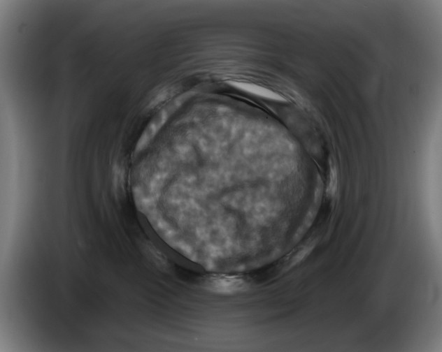 X0000086220333200704261841