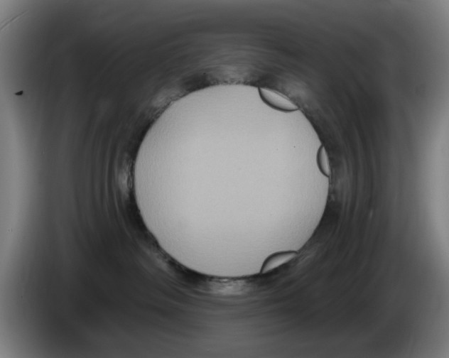 X0000086220334200704261841