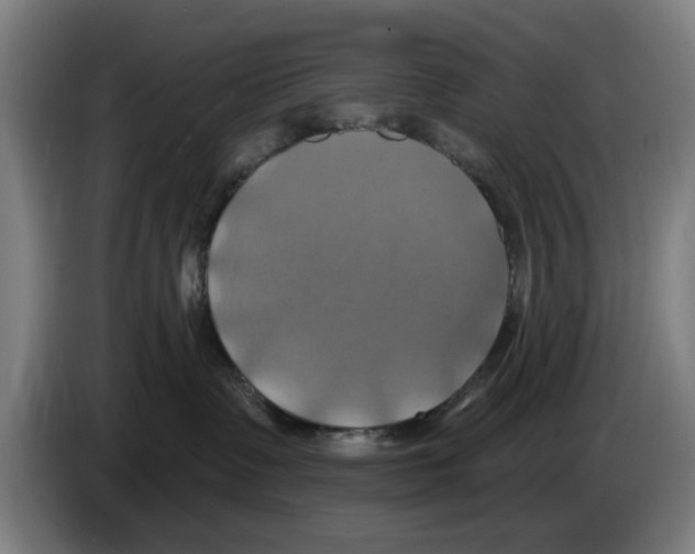 X0000086220335200704261841