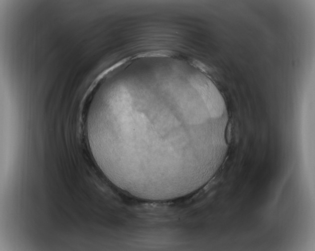 X0000086220338200704261841