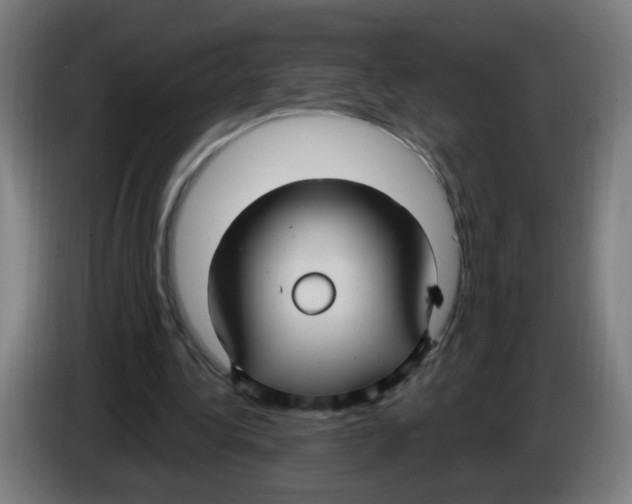 X0000086220340200704261841