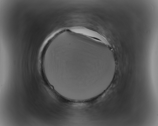 X0000086220342200704261841