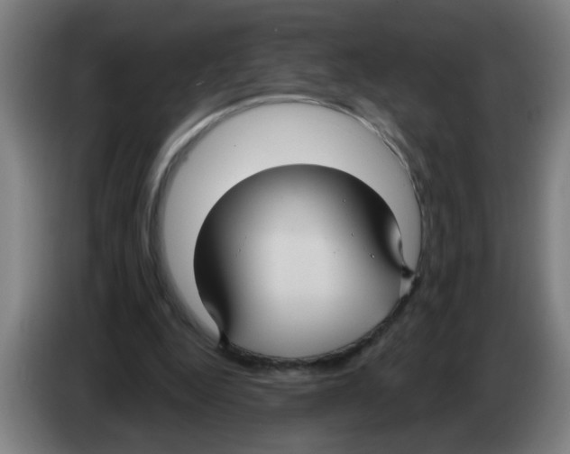 X0000086220344200704261841