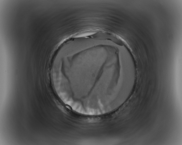 X0000086220345200704261841