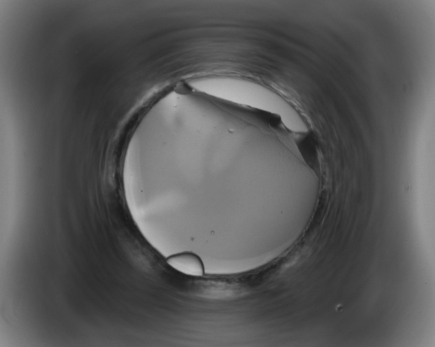 X0000086220347200704261841