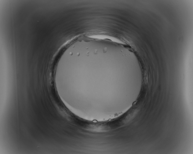 X0000086220351200704261841