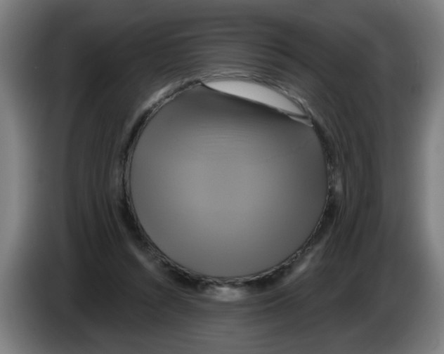 X0000086220352200704261841