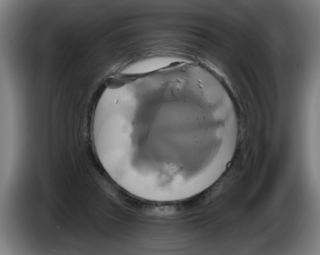 X0000086220353200704261841