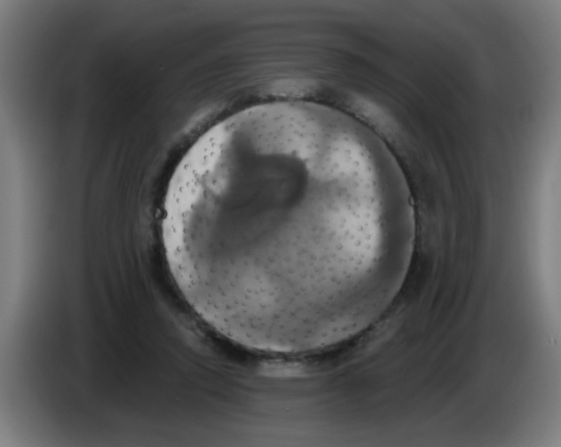 X0000086220354200704261841