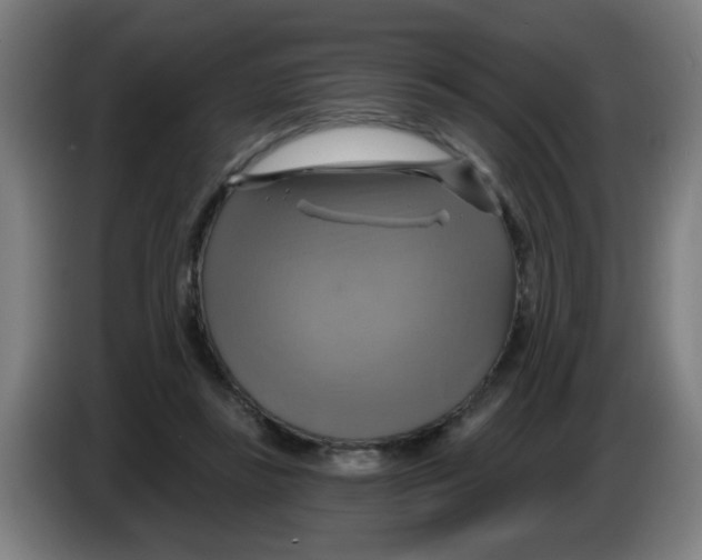 X0000086220355200704261841