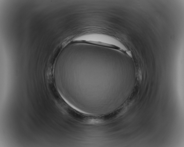 X0000086220360200704261841