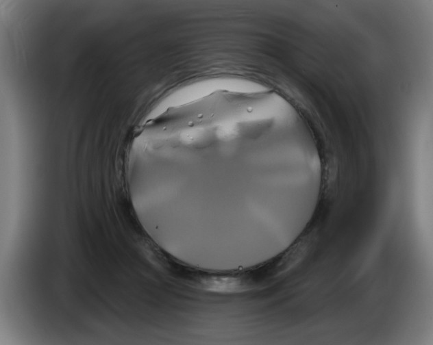 X0000086220361200704261841