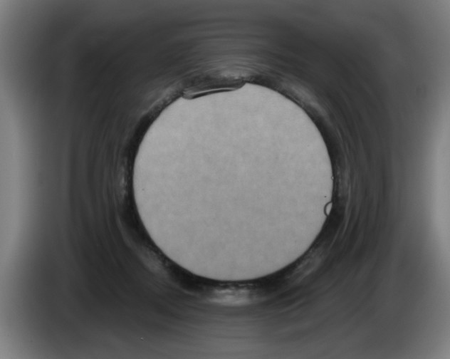 X0000086220362200704261841