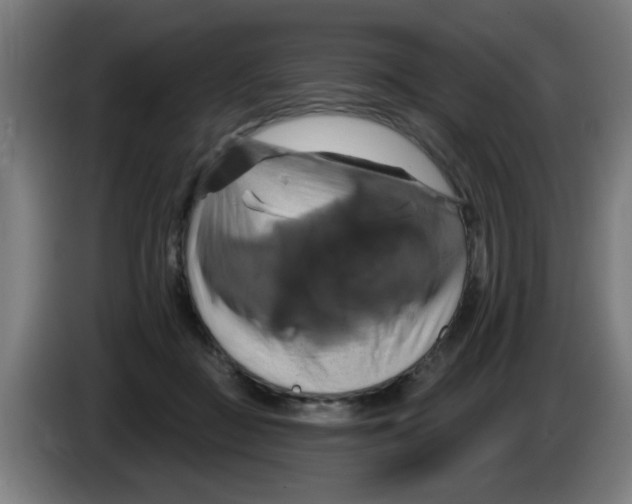 X0000086220363200704261841