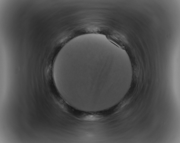 X0000086220364200704261841