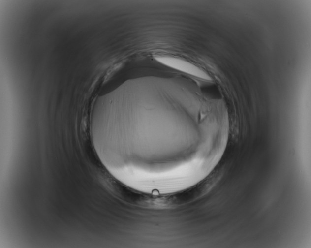 X0000086220365200704261841