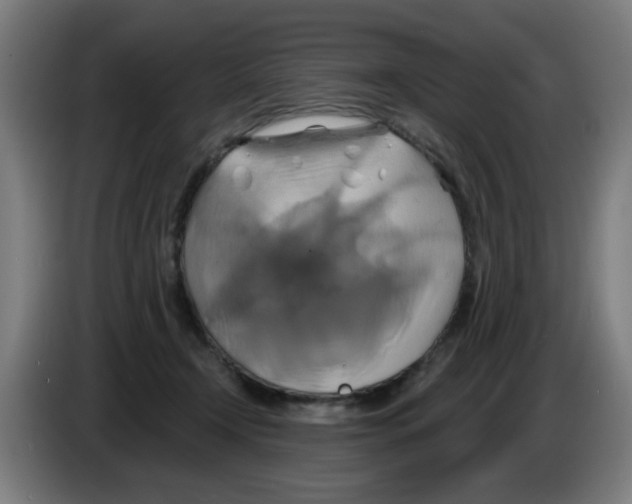 X0000086220366200704261841