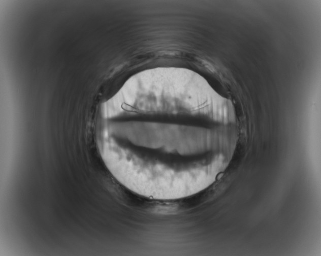 X0000086220369200704261841