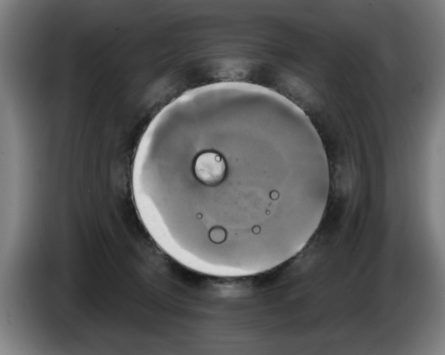 X0000086220370200704261841