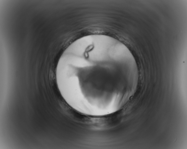 X0000086220371200704261841