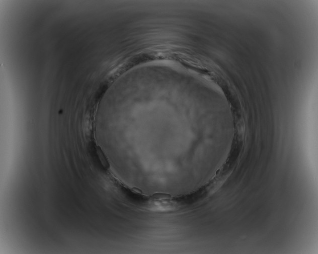 X0000086220372200704261841