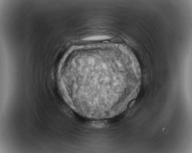 X0000086220373200704261841