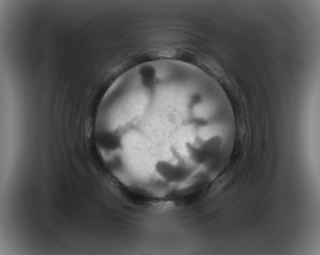 X0000086220374200704261841