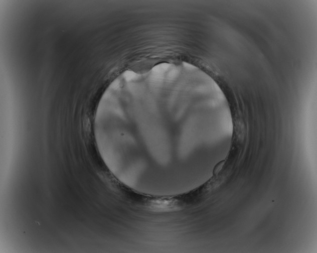 X0000086220375200704261841