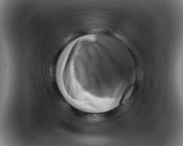 X0000086220378200704261841